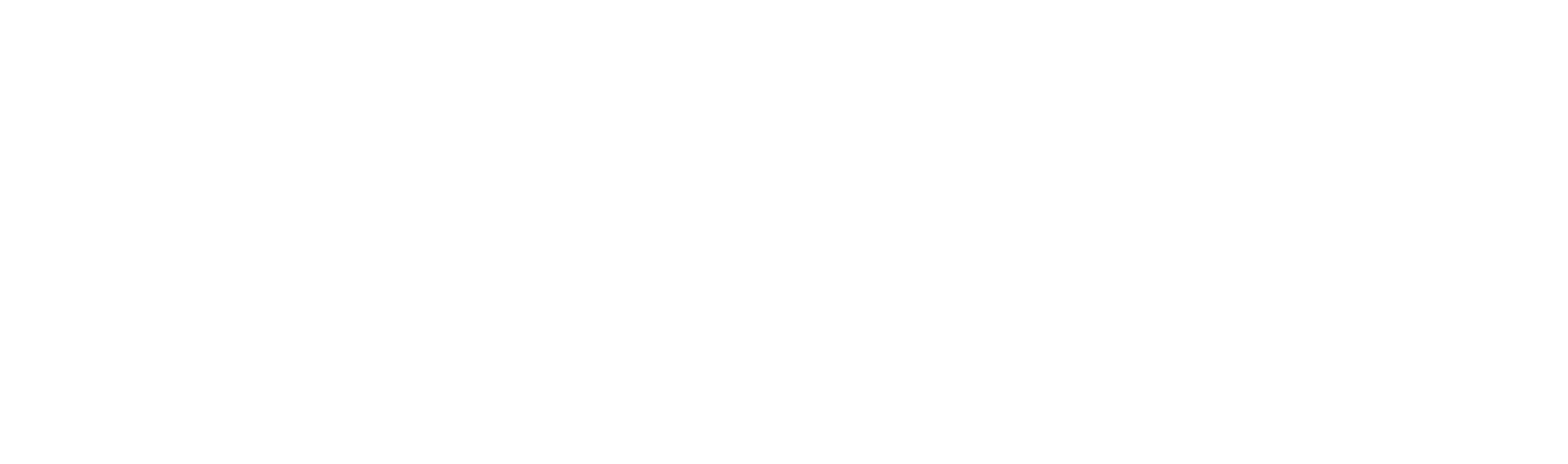 dromjobbet logo white